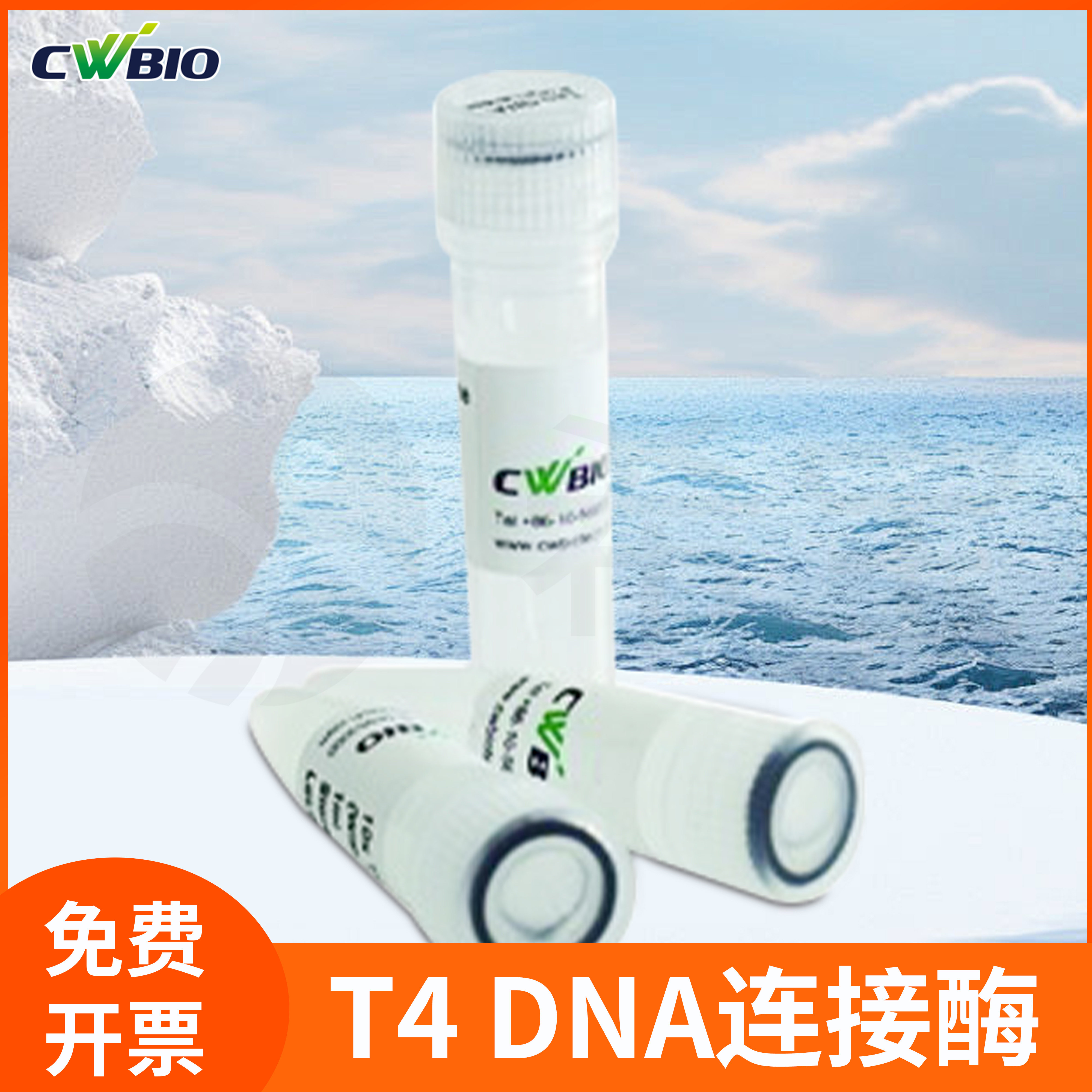 康为世纪T4连接酶T4 DNA Ligase for NGS平末端粘性末端DNA的连接