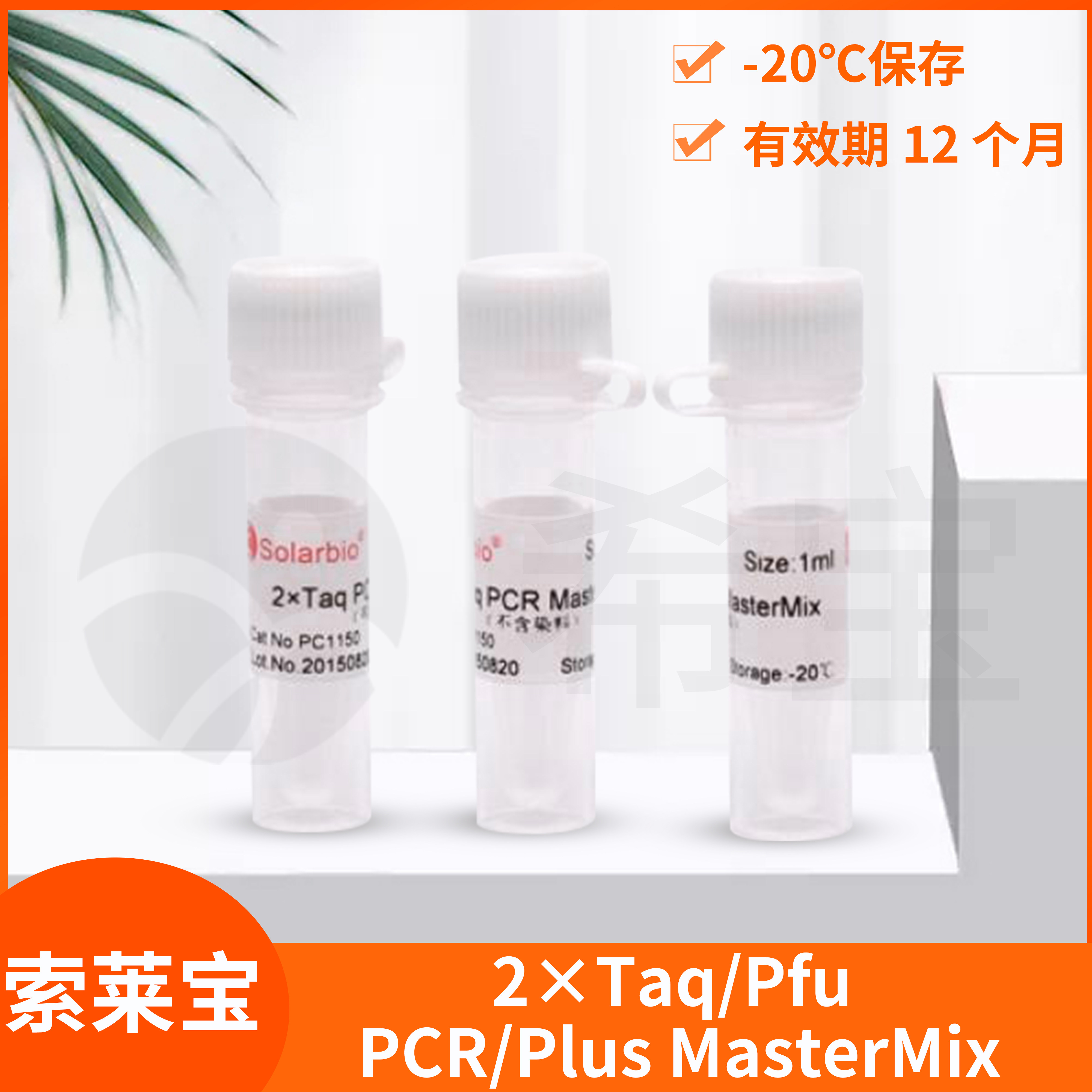 Solarbio索莱宝2&times;Taq/Pfu Plus PCR MasterMix扩增试剂DNA聚合酶