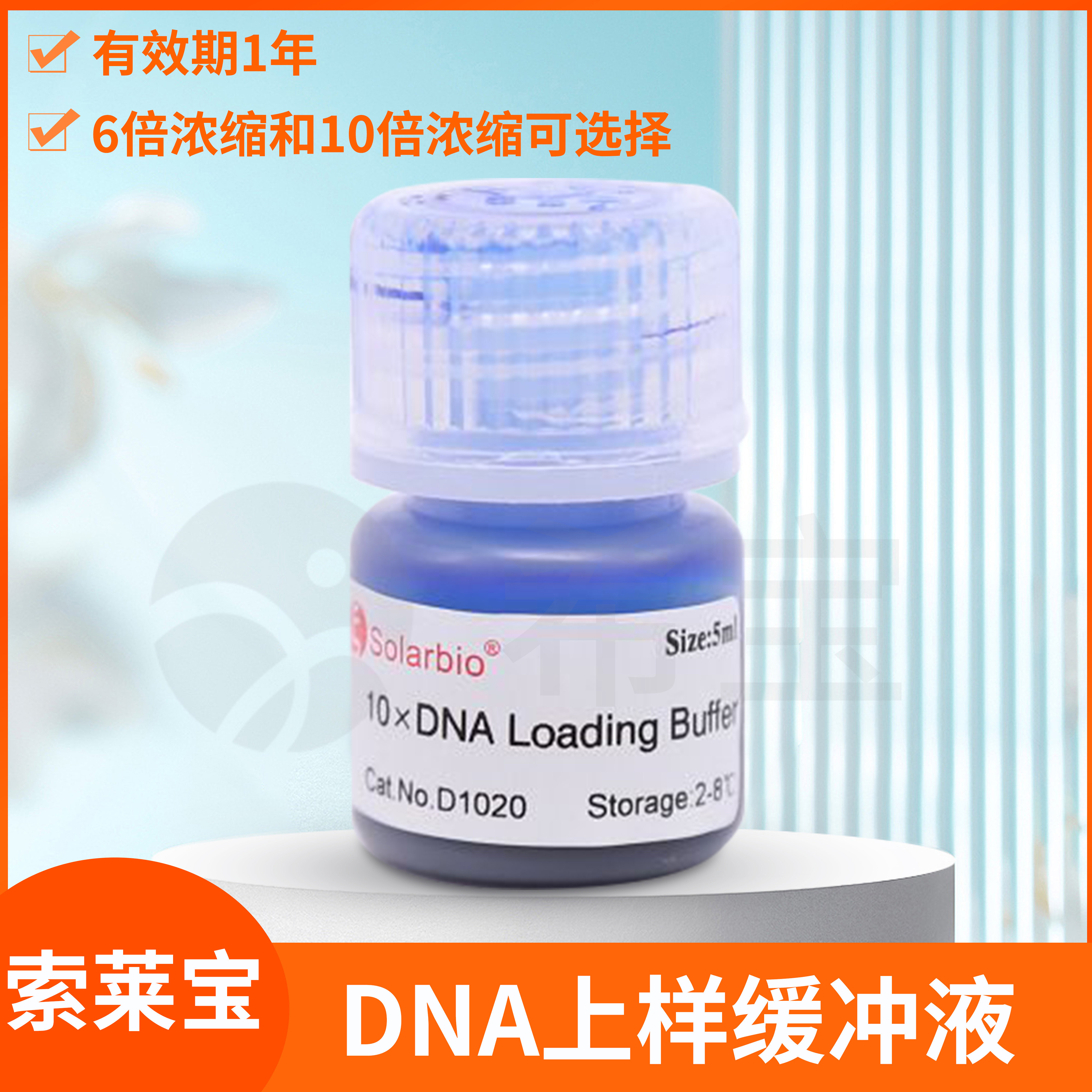 Solarbio索莱宝6x10xDNA上样缓冲液DNA Loading Buffer凝胶电泳
