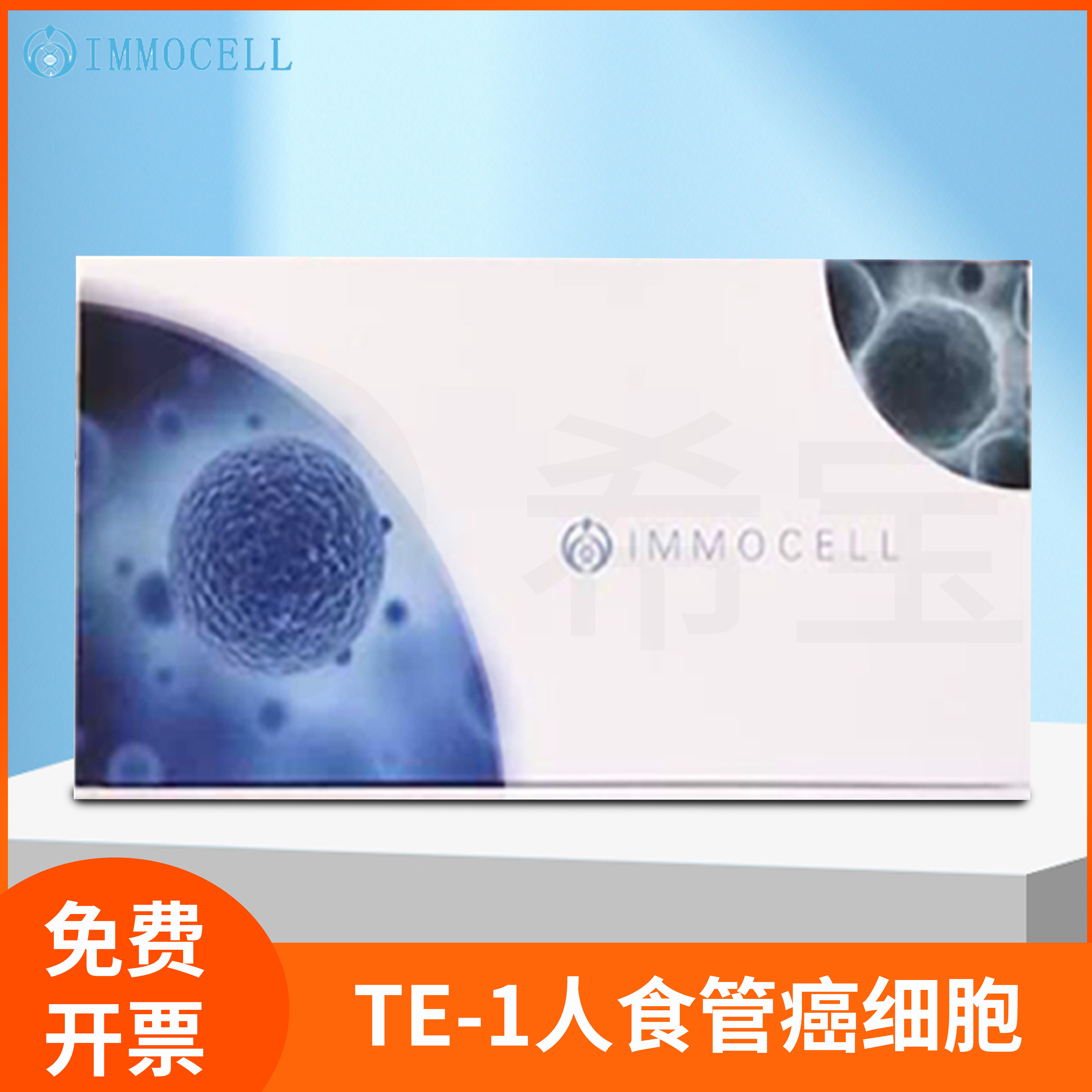 IMMOCELL/逸漠食管细胞培养基科研用TE-1人食管细胞(STR鉴定正确)