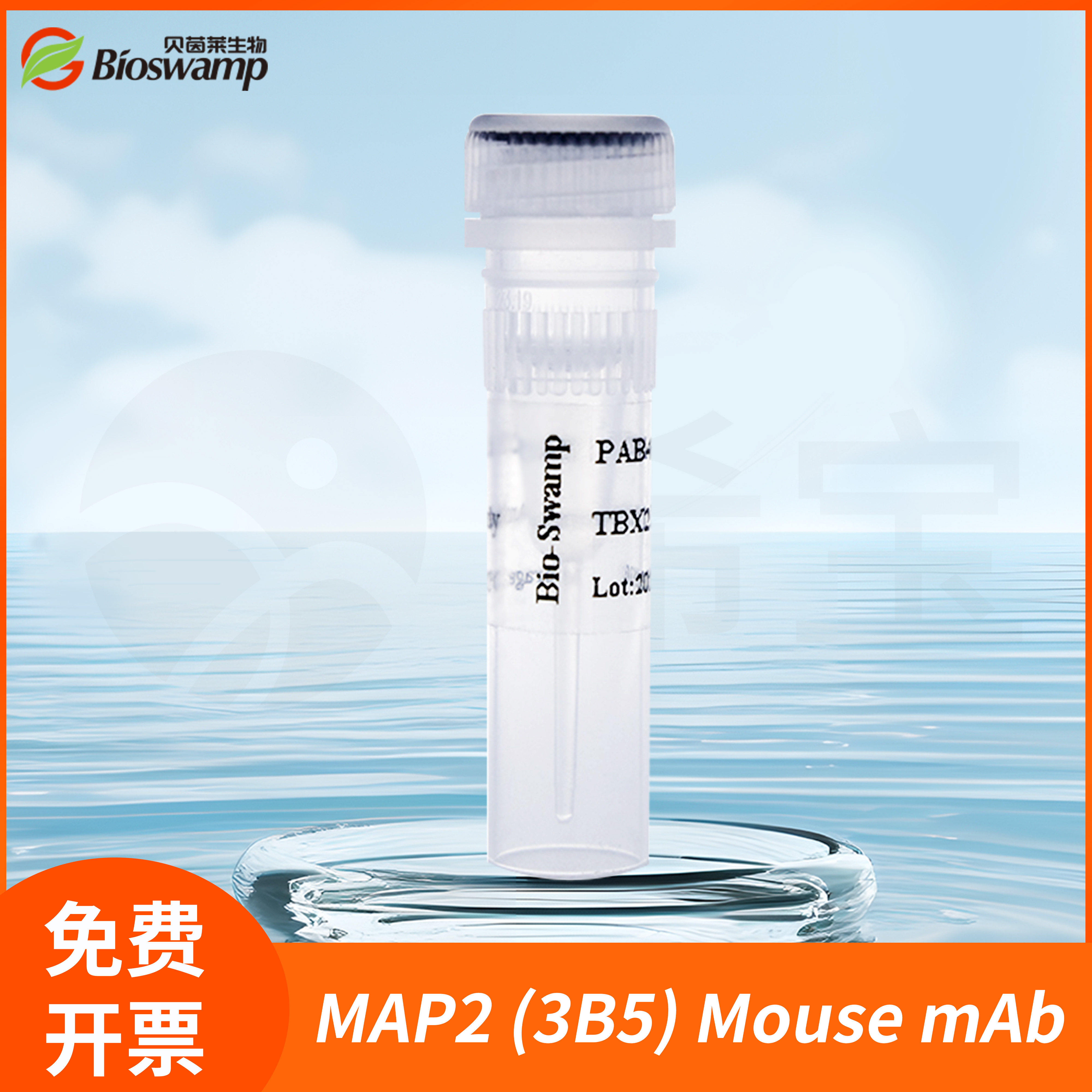 贝茵莱生物ICC/IF IHC-P Mouse单克隆抗体MAP2 (3B5) Mouse mAb