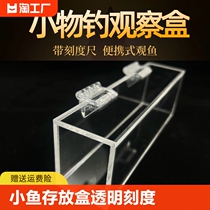 Small fish storage box fish viewing box small fishing box transparent acrylic with scale portable stream fish viewing device