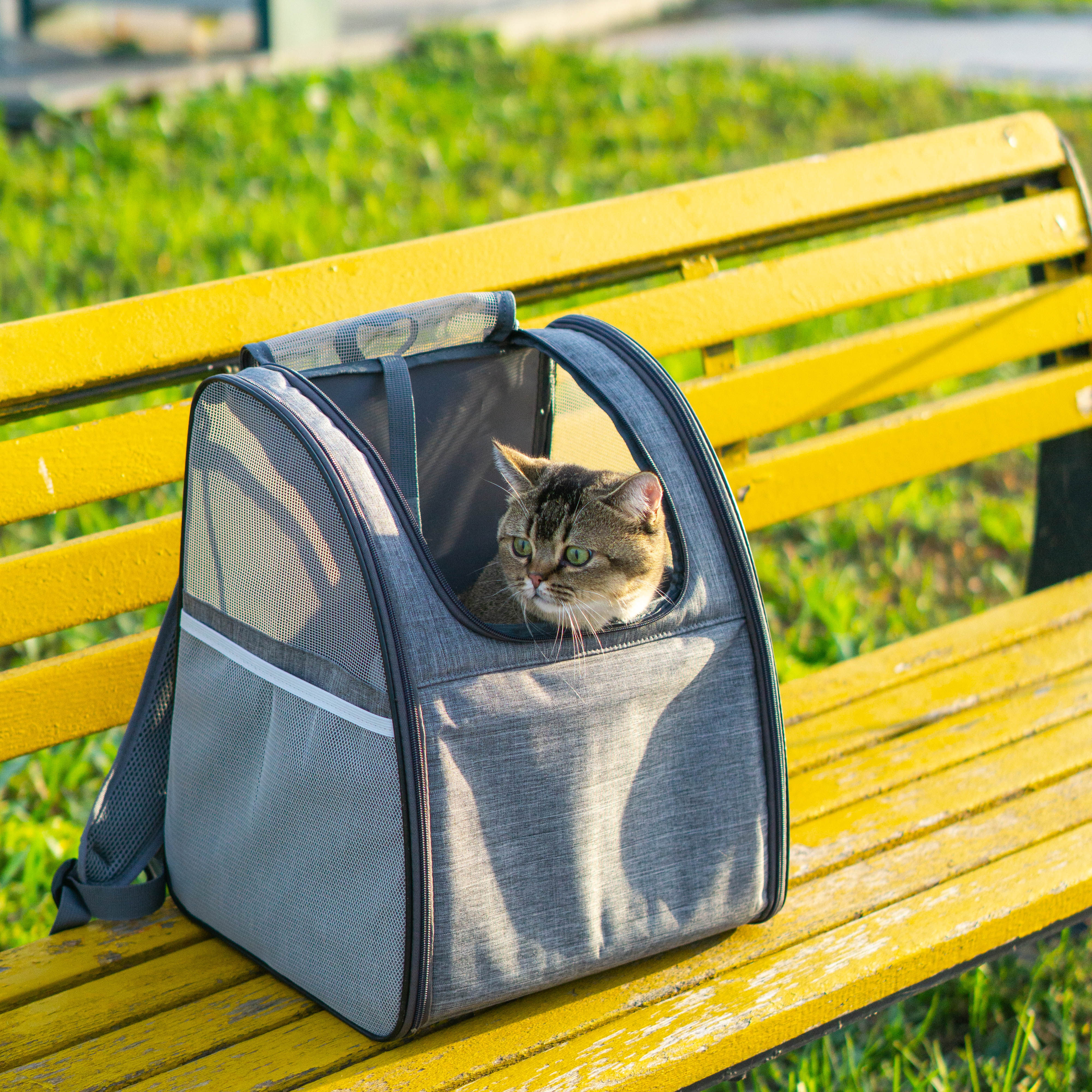 Cat Bag Out of Portable Double Shoulder Kitty Carry Bag Winter Breathable Pet Bag Cat with Puppy Cat Cat Bag