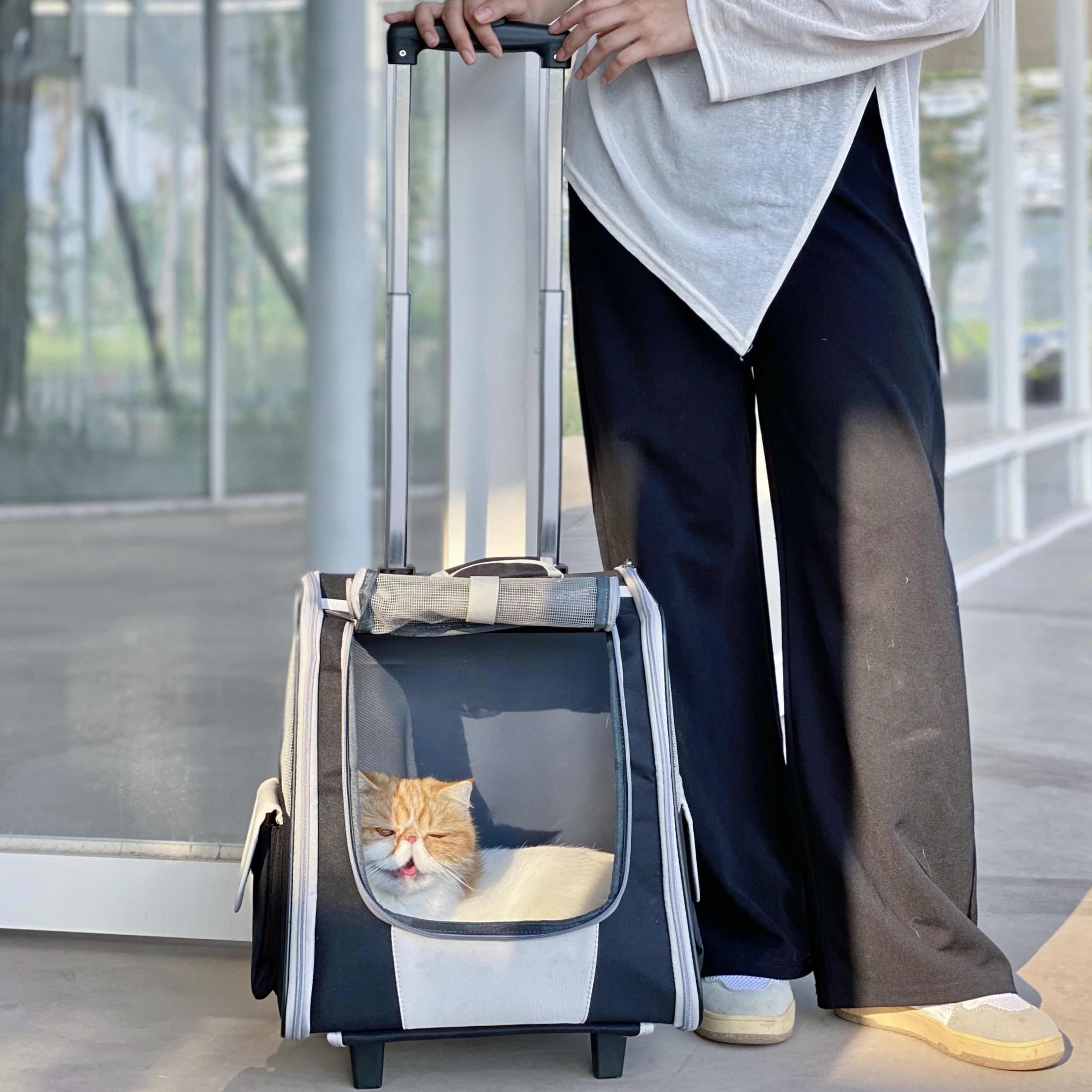 Cat Bag Out of portable pull-lever case Big pet Shoulder Bag Dog Winter Breathable double shoulder to wear two kittens outside with bag