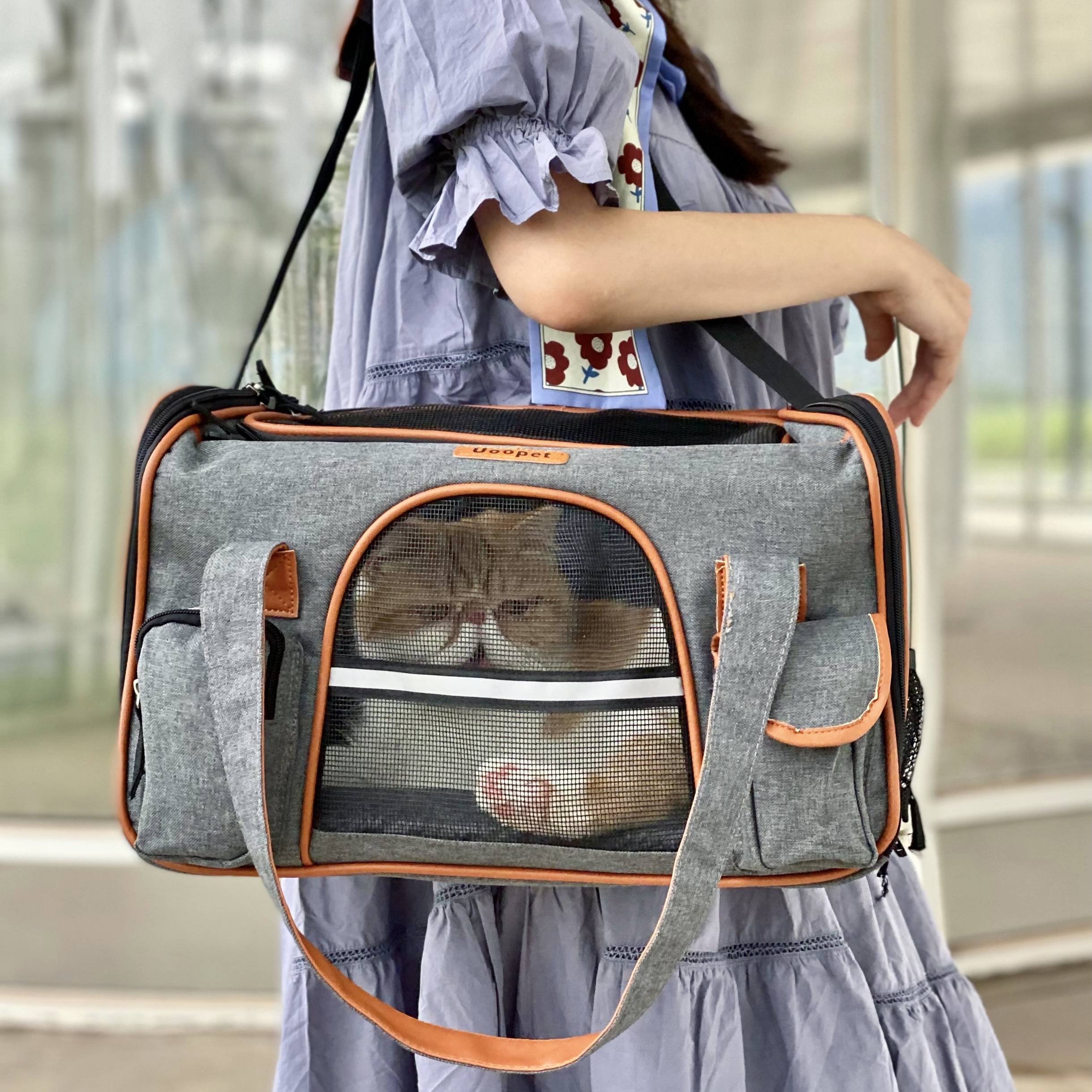 Cat bag breathable out portable with cat cage portable pet messenger travel canvas dog bag folding cat supplies