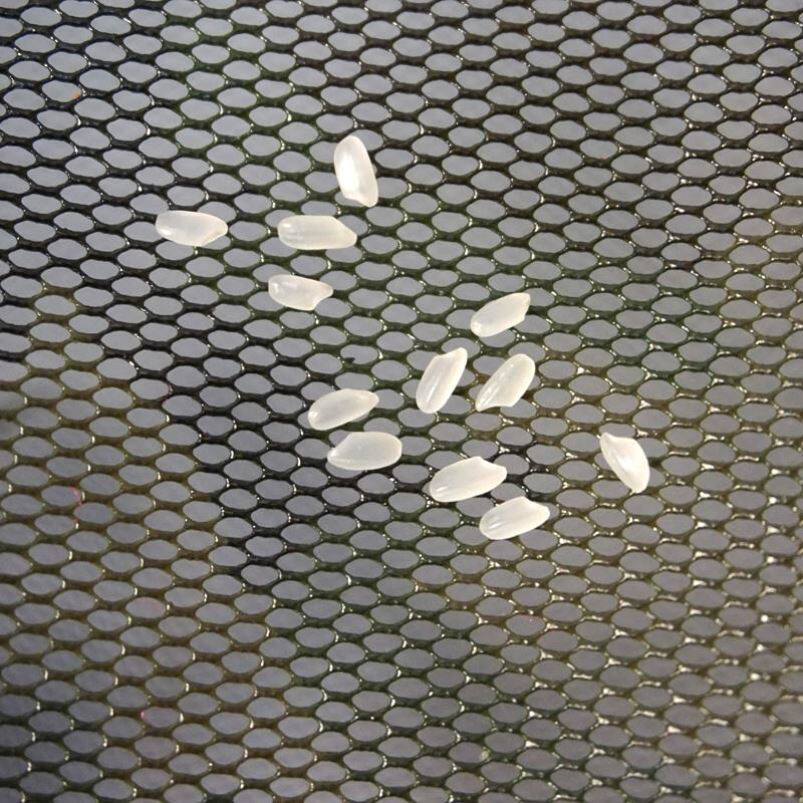 Small fish guard 20cm wild fishing mini portable small 25-eye square fish guard quick-drying glue anti-hanging fish cage