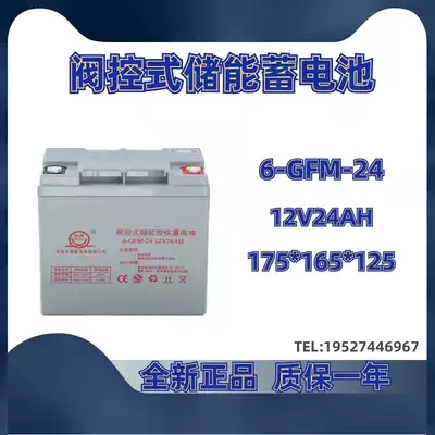 Liz Zibo Qiyuan battery 6-GFM-24 12V24AH valve-regulated lead-acid energy storage battery spot