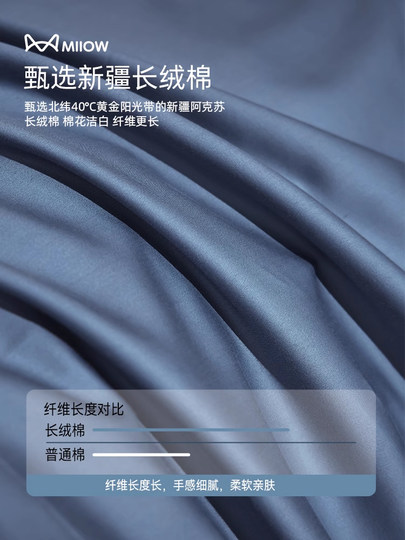 轻奢长绒棉贡缎床上四件套全棉纯棉2025新款床单被套罩宿舍三件套