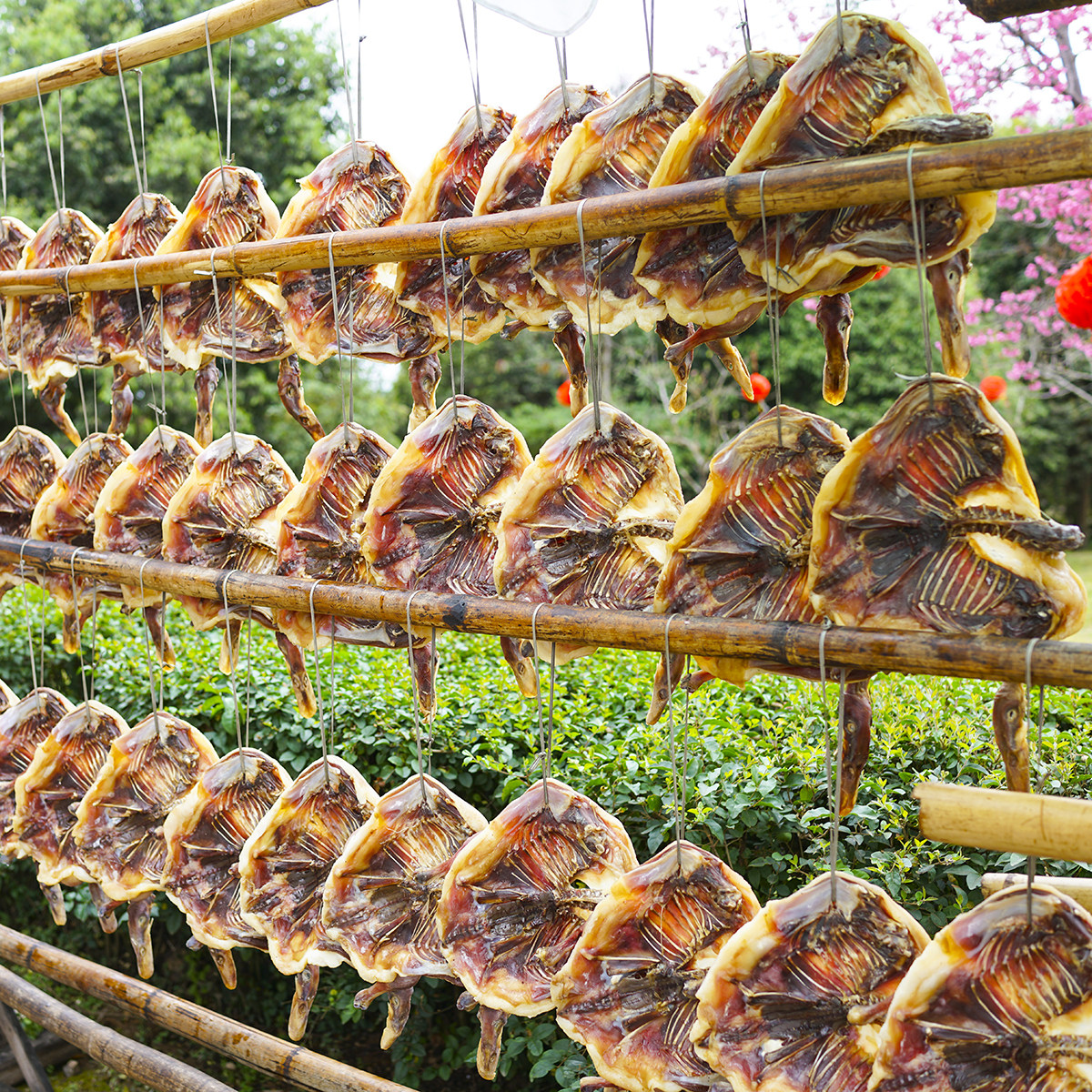 1.0kg Old Duck Air-Dried Cured Duck, Jiangxi Specialty, Salted Whole Duck, Whole Duck Meat, Gannan Farmhouse Suichuan Salted Duck for Catering