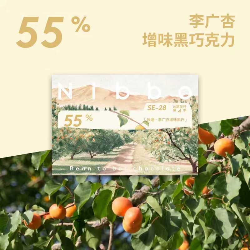 Nibbo Li Guangxing 55% Flavor-Enhancing Dark Chocolate