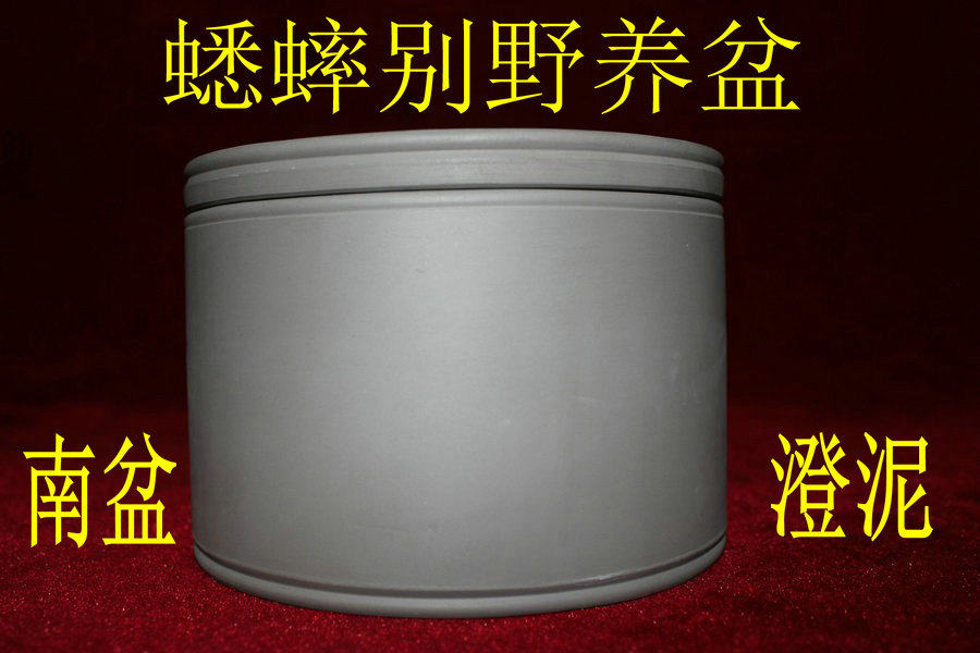 Cricket Basin Cricket Pot Yuan Yongming Duojin Basin White Sand Mud Basin Orbit Mouth Basin South Basin Cheng Mud Basin