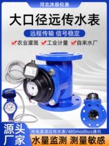 Photoelectric direct reading remote transmission 485 MODBUS large diameter water meter LXLYSY intelligent detachable screw wing remote water meter