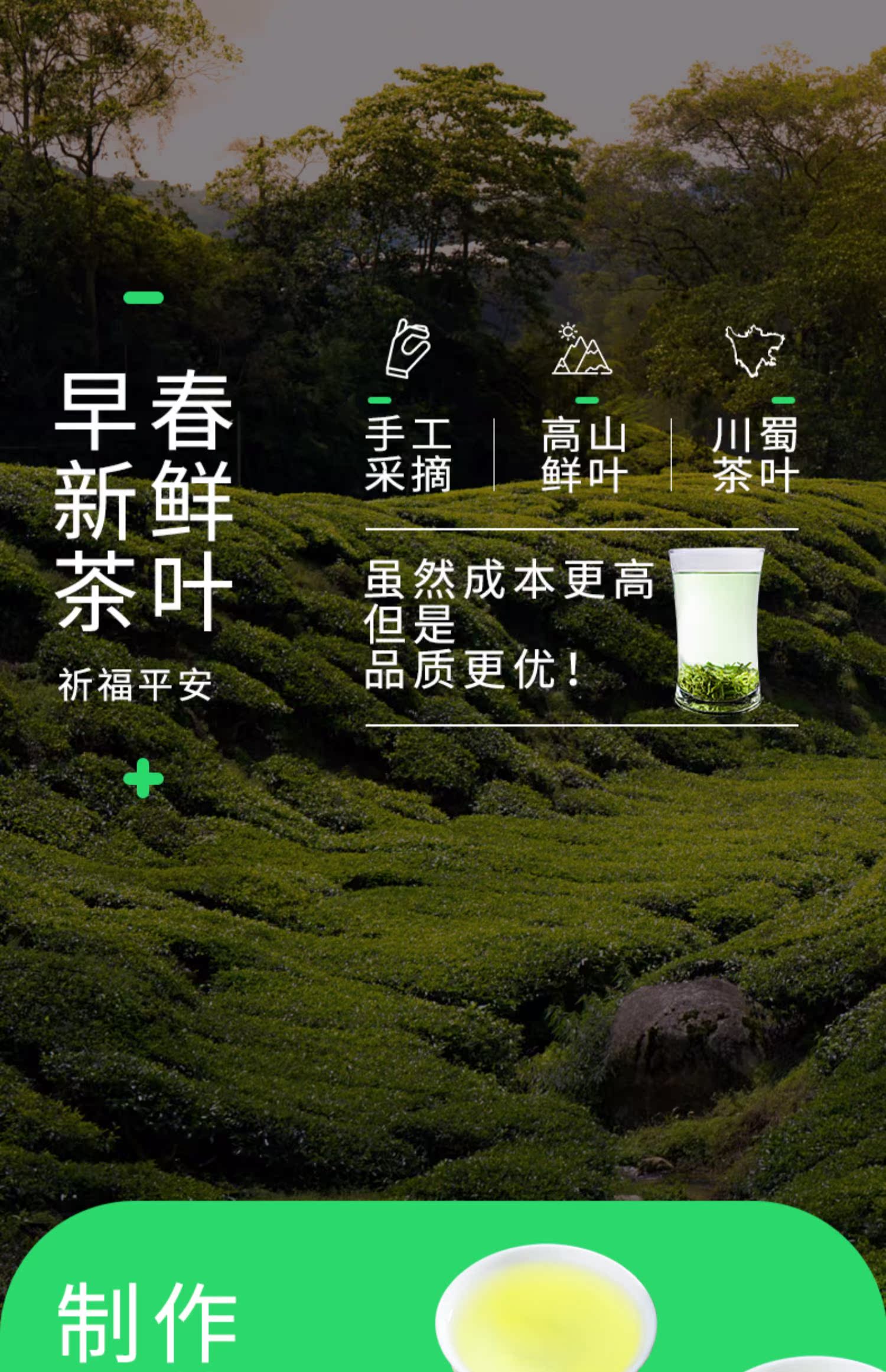 龙都博宝2021新茶银针绿茶120g