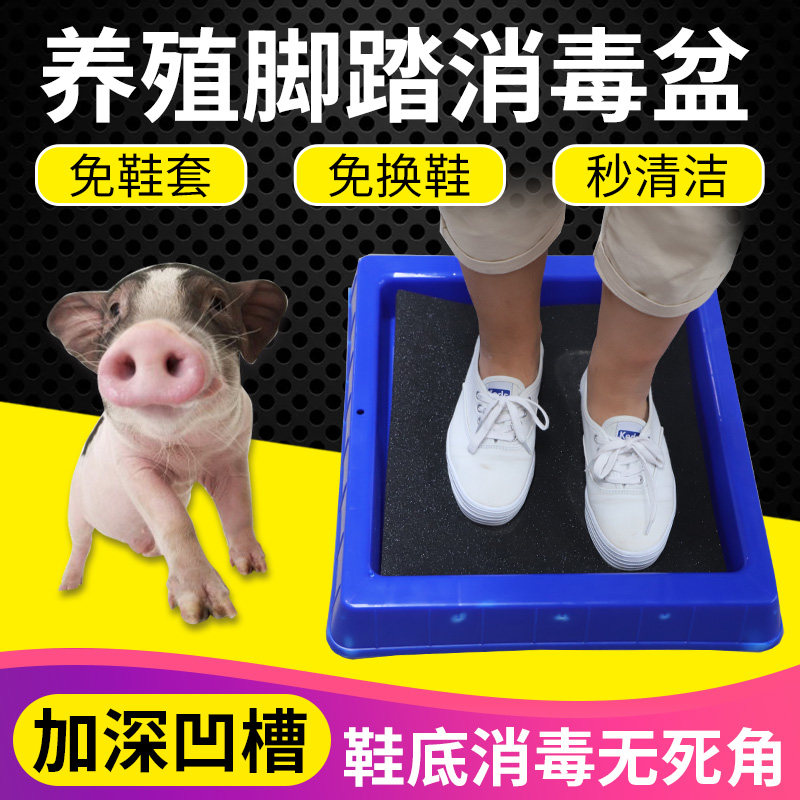 猪博士养殖场专用消毒脚踏盆消毒池猪场消毒设备鞋底消毒槽免脱鞋
