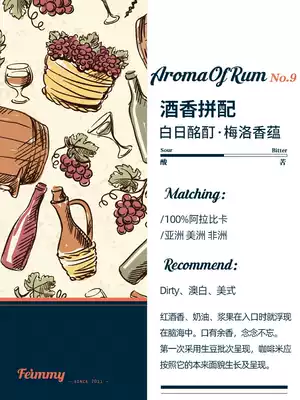 Feimmy9 No. Anaerobic Special Treatment Creative Wine Blend with Italian Concentrated Hand-washed Coffee Bean 500g