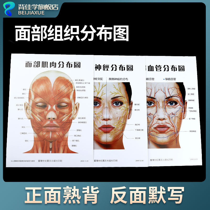 美容整形面部血管分布图神经肌肉分布教学辅助参考海报图三张一套