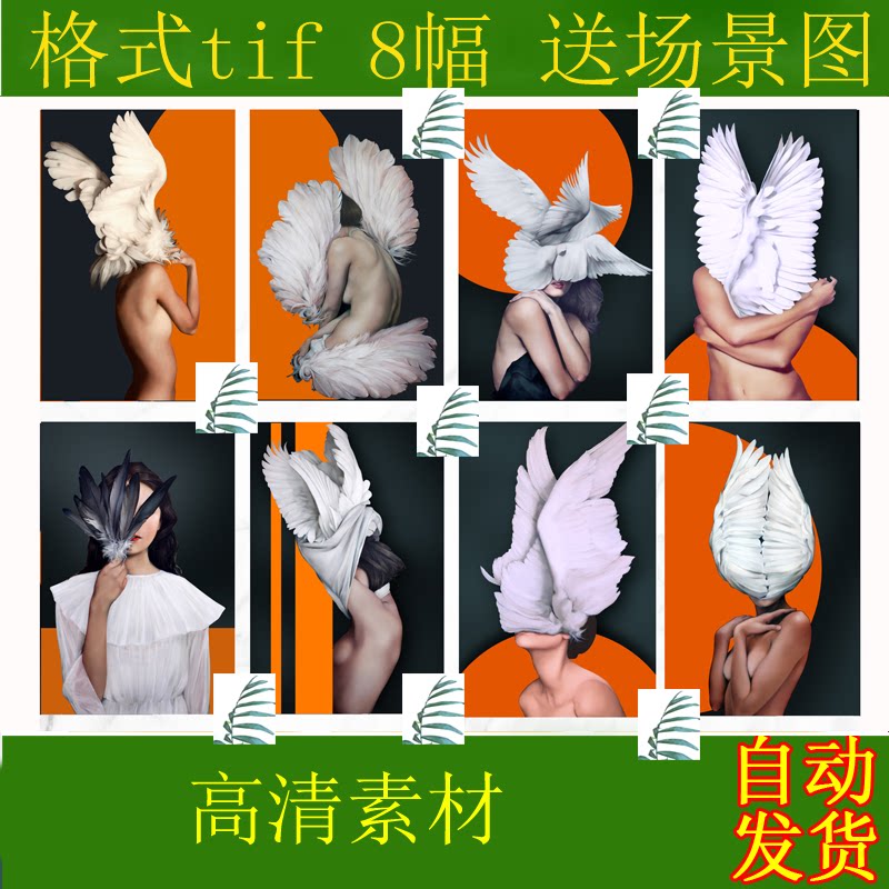 Modern minimalist light luxury character porch decoration painting feather beauty single model room hanging painting mural core material p