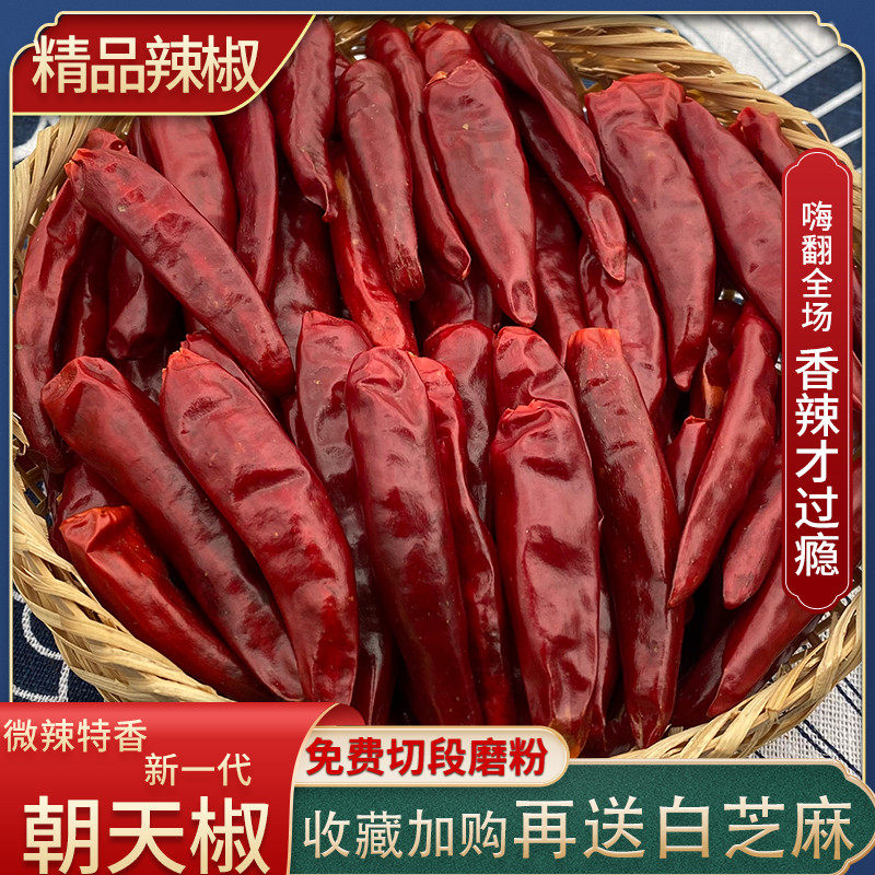 Morning Peppers new generation of dry chilli micro-spicy special fragrant sky eagles red farmhouse Self-specific production 500g Chopped Section Powder
