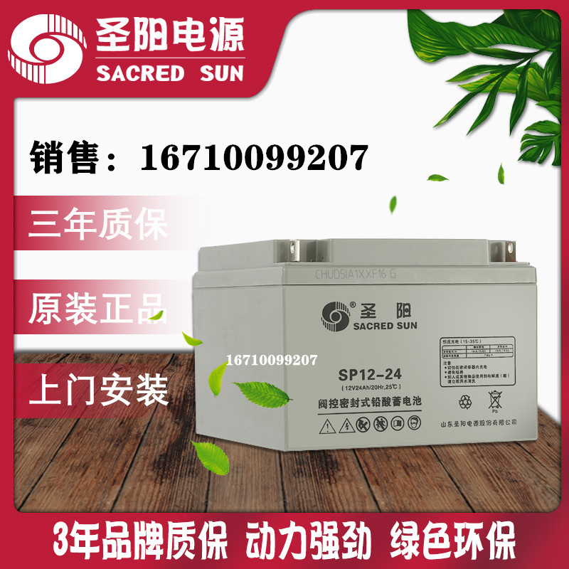 Shengyang SP12-24FR SP12-24 battery 12V24AH fire special EPS UPS power supply
