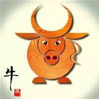 淘淘皮具