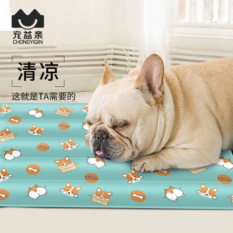 Pet ice pad summer cooling cat mat mat mat bite resistant dog mat sleeping with summer sleeping mat dog supplies