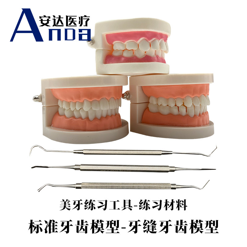 牙齿美白练习树脂美牙练习塑型工具牙缝牙洞模型假牙练习模型材料