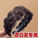 Wig braided hairband for women 2025 new style high skull wide edge daily wear hairpin to cover gray hair