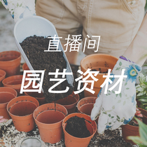 Live broadcast room - flower pots and baskets welfare shooting