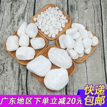 White pebbles Garden courtyard paving landscaping White stones Decorative paving Small stones Rain stones Small stones