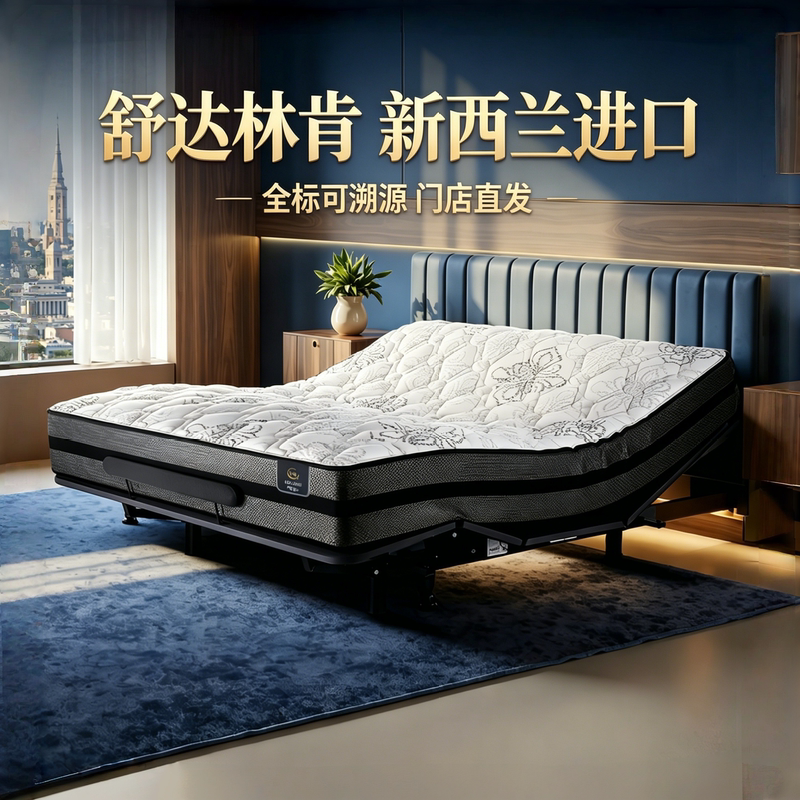 Serta Shuda Lincoln Imported Mattress Adams Smart Bed Avison V Model Same Model Offline Available in Stock Traceable Serta Shuda Lincoln Imported Mattress Adams Smart Bed Avison V Model Same Model Offline Available in Stock Traceable