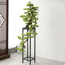 Large Landing Simulation Greeting Guest Pine Bonsai Prototype Board House Xuan Guan Decoration Green Planting Flowers Shelf Swing Piece Company Opening Gift