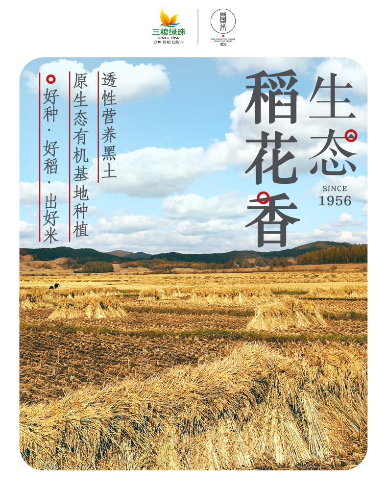 国标认证五常大米 三粮绿珠 冰耕国 生态稻花香 10斤 图1