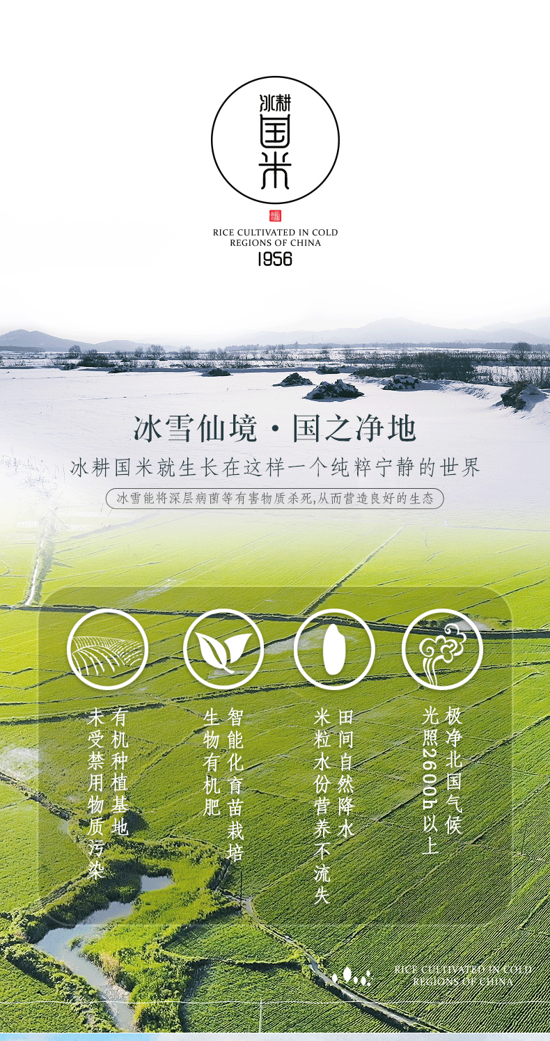 国标认证五常大米 三粮绿珠 冰耕国 生态稻花香 10斤 图6
