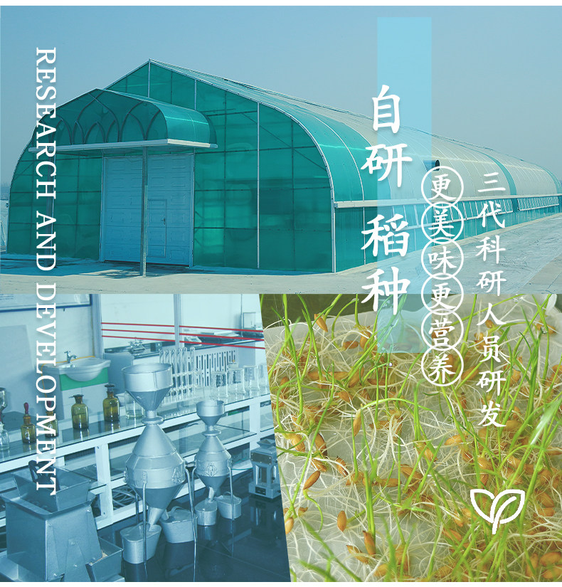 国标认证五常大米 三粮绿珠 冰耕国 生态稻花香 10斤 图8