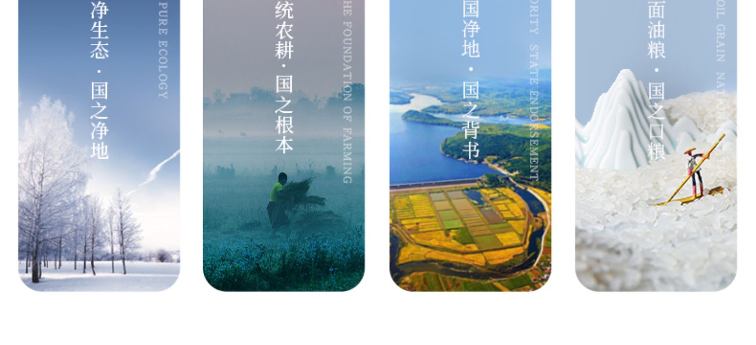 三粮绿珠冰耕国有机稻花香米5斤