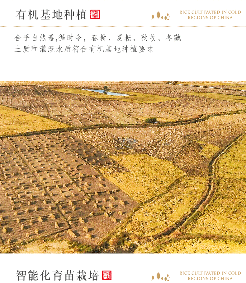 国标认证五常大米 三粮绿珠 冰耕国 生态稻花香 10斤 图8