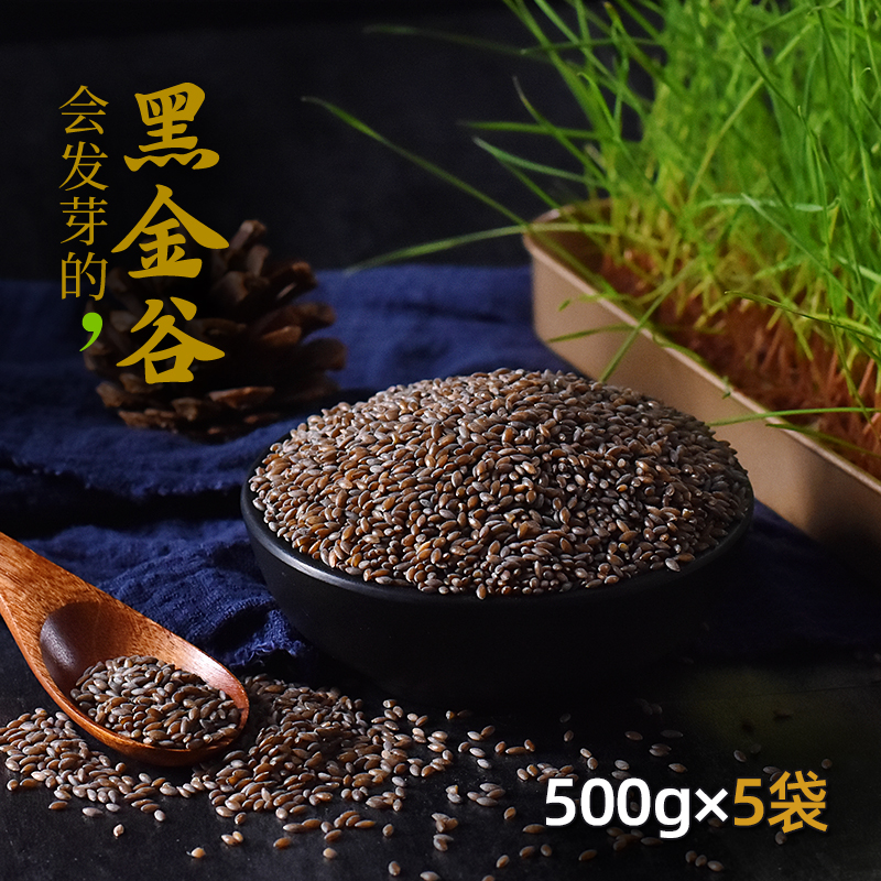 Black Gold Valley Rice Blood Oats 500g × 5 Bags of Blood Diamond Wild Oats High Flavonoids Shaanxi Grain Porridge Rice Raw Materials