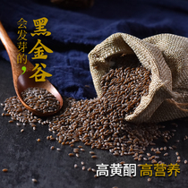 Black Golden grain rice 500g Pregnant baby nutrition Wild oats Black millet Shaanxi Qinling whole grain porridge blood oats
