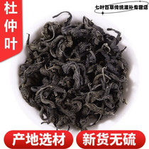 New tea Zhangjiajie wild eucommia leaves Hunan specialty eucommia young leaves special eucommia men and women health 500g