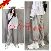 Short 145 sweatpants 150 eight-legged pants casual pants size pants women slim Joker