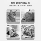 Кошачья игрушечная самостоятельная артефакта кошачьего поворотного стекла макарон -кошачьи кошечко