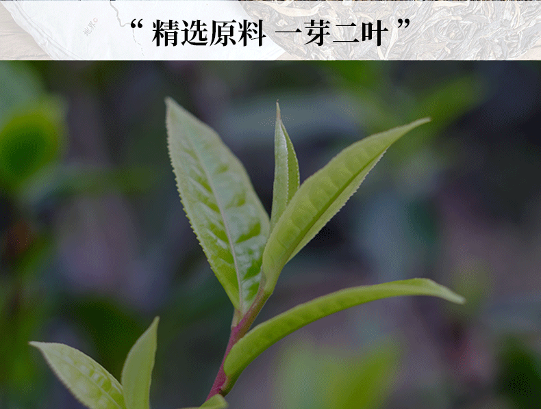 冰岛古树普洱熟茶饼茶357克