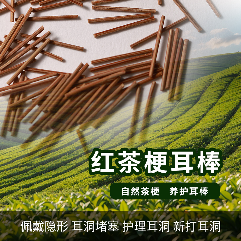 ティーステム耳スティック耳穴抗炎症ティースティック耳穴アンチブロッキング針使い捨て抗アレルギー学生見えないイヤリング