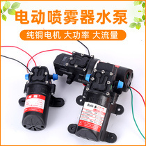 Electric sprayer water pump accessories back negative type agricultural high-pressure rechargeable lithium electrodosing machine spray pump diaphragm pump