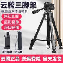 Cloud Teng 668 Single Counter Camera Phone Tripod Photography Live Self Beat Bracket Hydraulic Damping D Outdoor Tripod