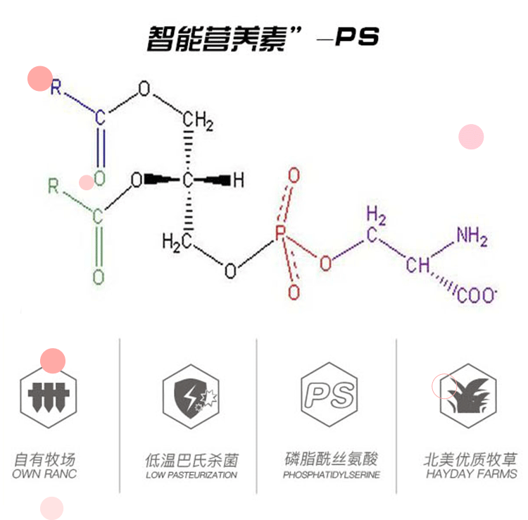 安辰乳业PS酸乳牛乳食品酸奶2瓶