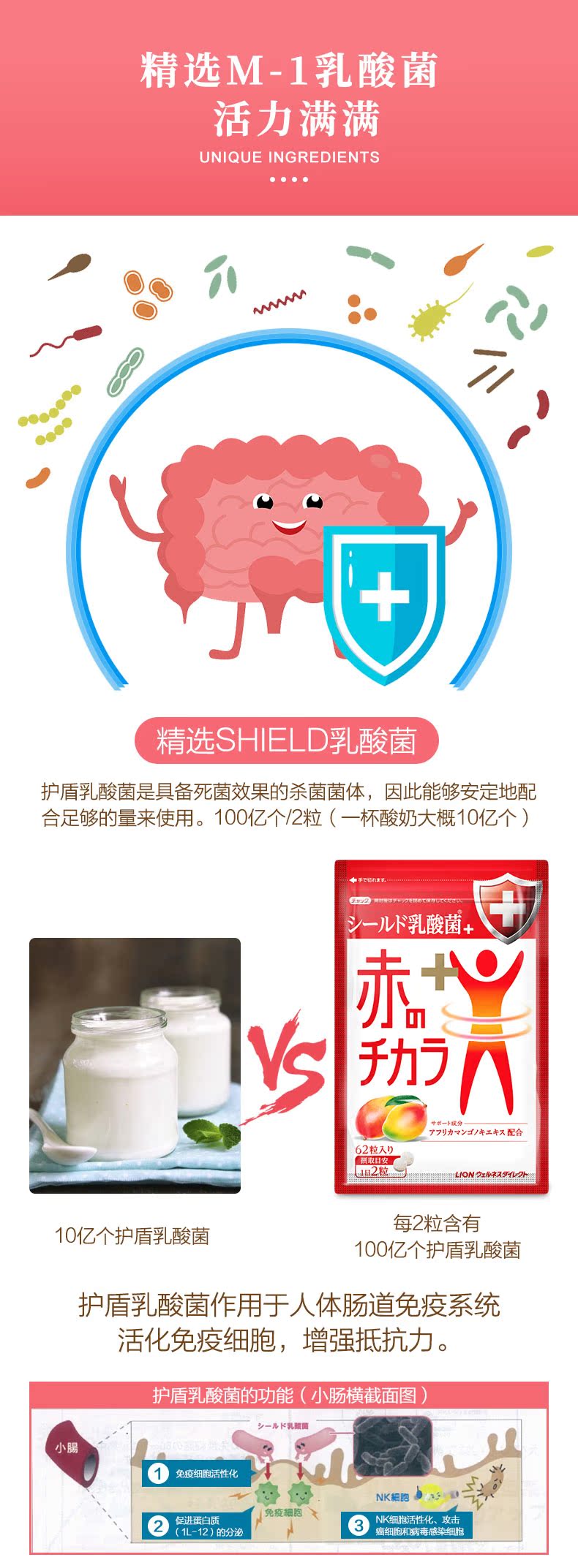 日本狮王 LION M-1乳酸菌 62粒 养精神添活力 调理肠胃 图5