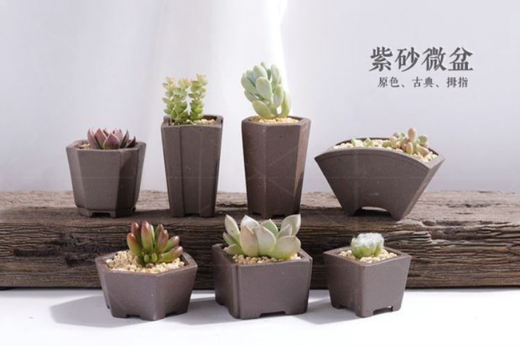 Yixing purple sand flowerpot flower pot in the micro fleshy thumb mini bonsai pot breathable potted package mail