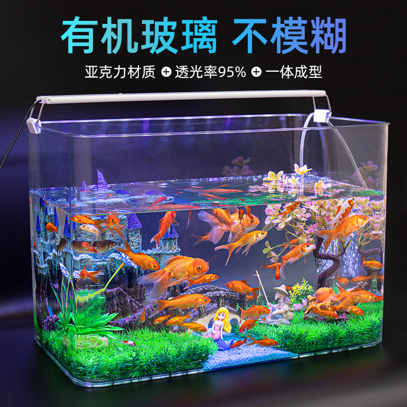 Small household transparent glass crocodile turtle Brazil Turtle special cylinder plastic view eco-cylinder breeder