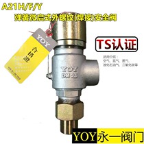 Permanent A21H F Y-16C cast steel 15 spring 20 micro-starter 25 external thread 32 safety 40 pressure relief valve DN50